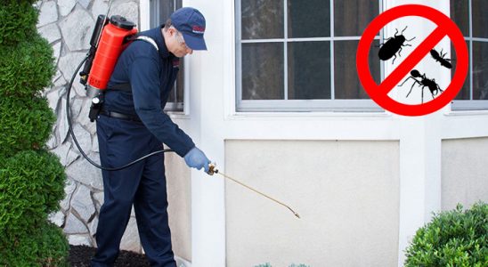 Burdur Haşere İlaçlama böcek ilaçlama ve haşere kontrolü — ilaclama-tr.com